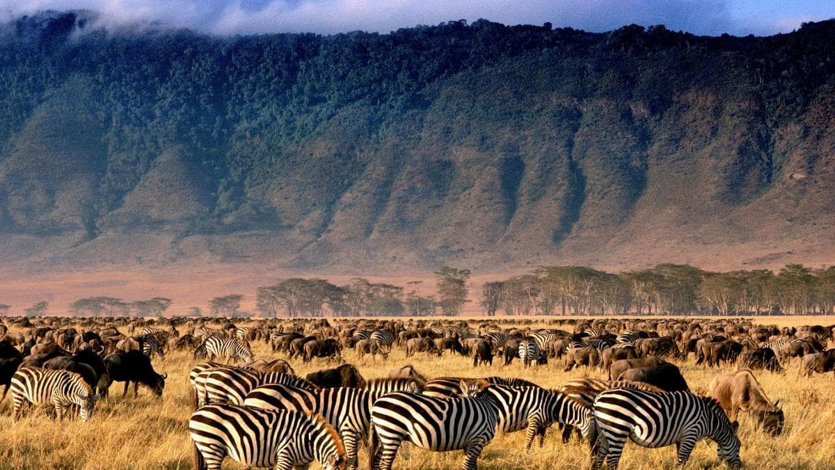 Lake Manyara National Park