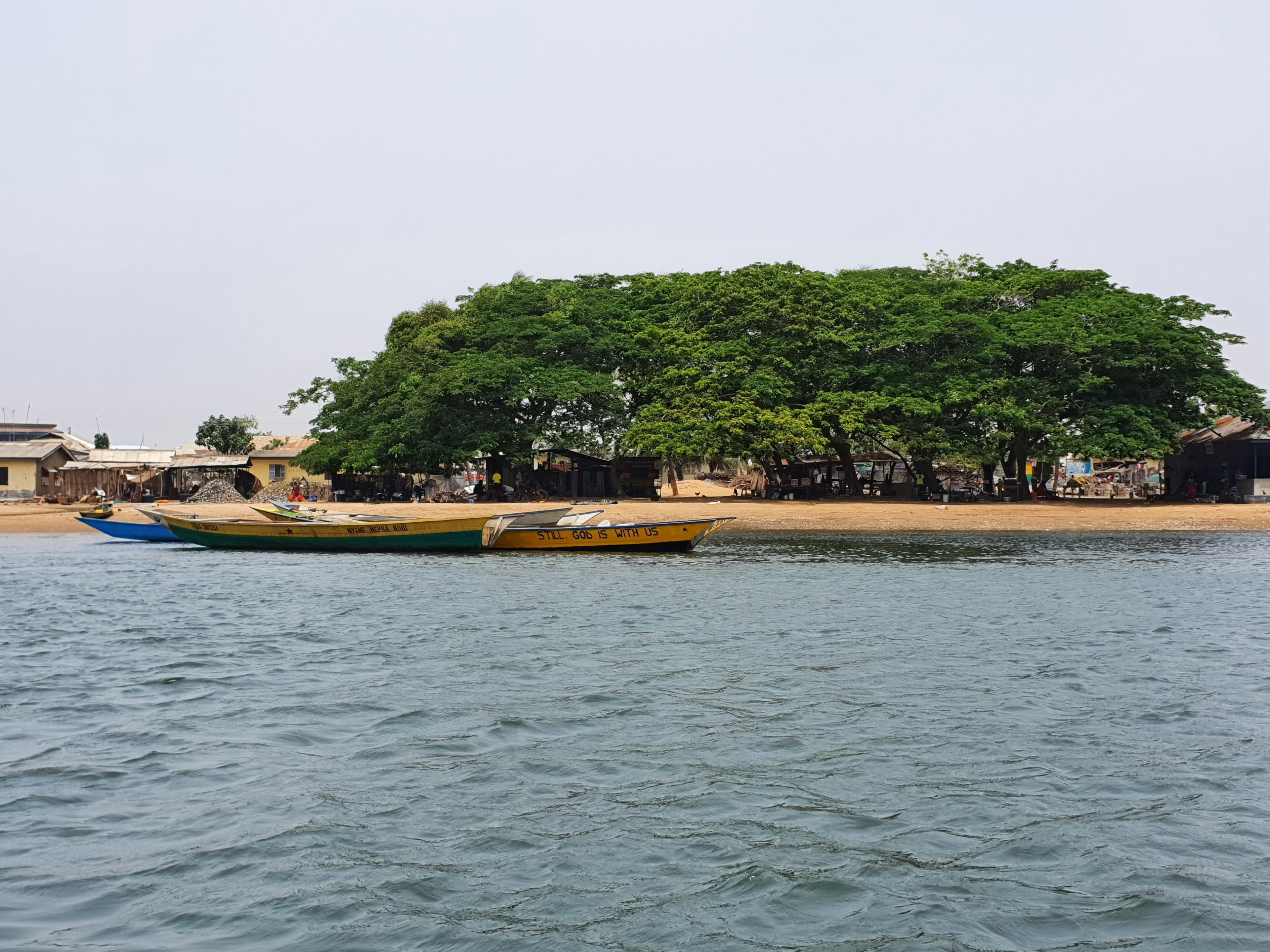 Ngamba Island Chimpanzee Sanctuary