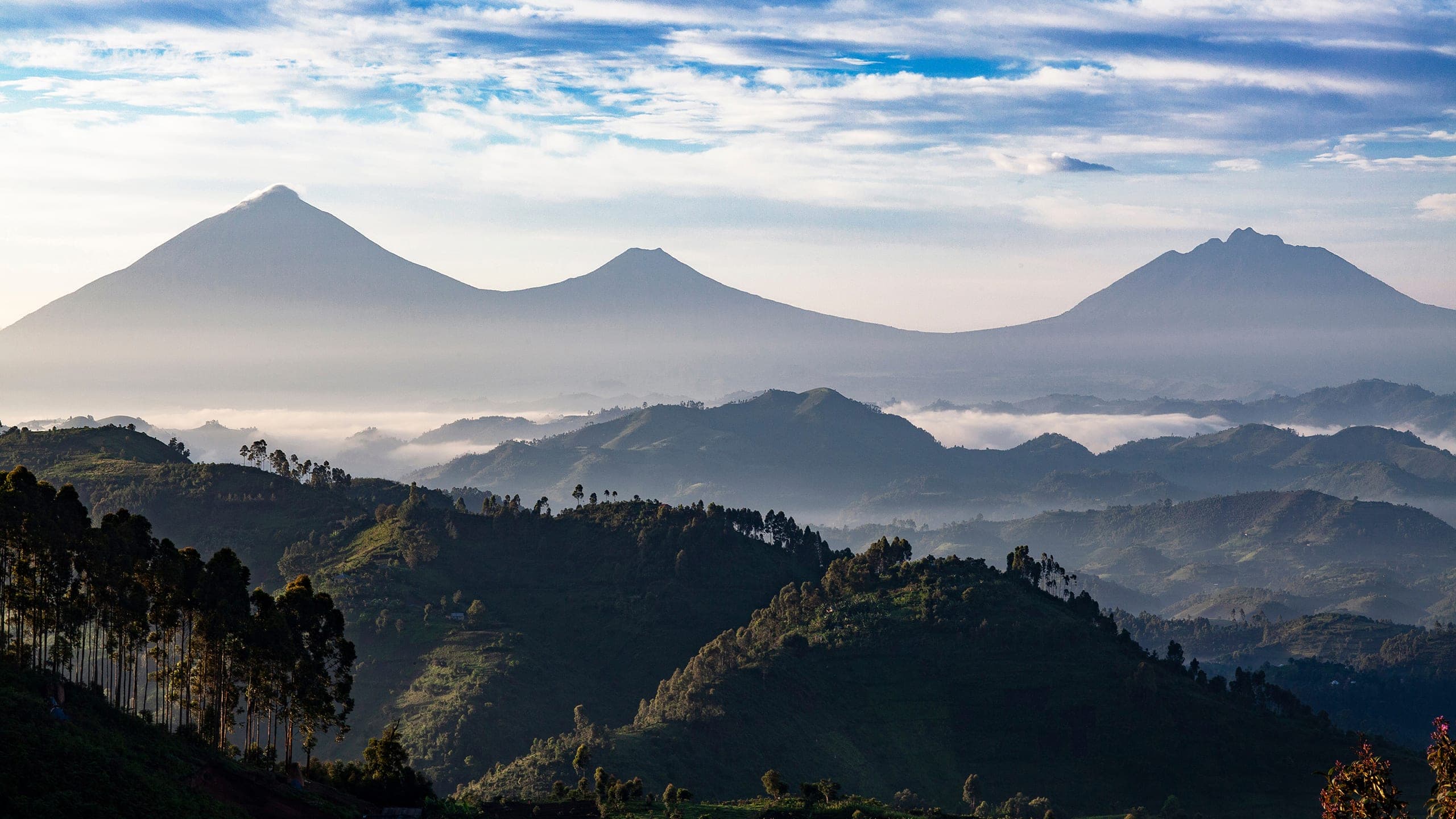 Volcanoes National Park, Rwanda